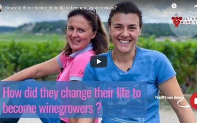 Video: Culture Wine TV